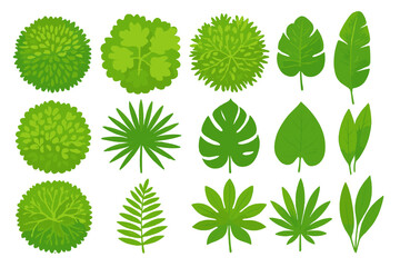 Top View Green Tree Foliage and Tropical Leaves Vector Set for Landscape Design, Botanical Illustration, Eco Projects, Garden Planning, and Nature Decor on Transparent Background