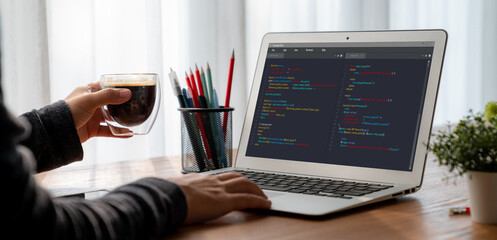 Wall Mural - software development programming on computer screen for modish application and program coding