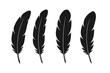 © Bruno - Set of four black feather silhouettes. Bird quill pen vector icon collection. Elegant boho plume illustration isolated on white background. Flat simple graphic design element.