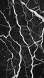 © Charlotte - Black Marble Texture with White Veins for Interior Design and Surfaces