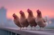 © AnasTruba - Four brown hens standing on a fence at sunrise with a colorful sky in the background. Chicken Boy Day