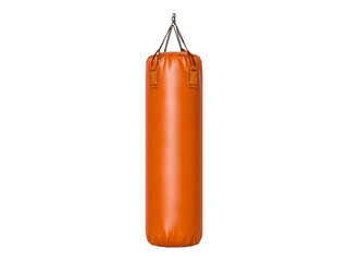 Wall Mural - Isolated Transparent Background of an Orange Bag