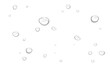 © Pixora_light - Raindrops and Water Drips on Transparent background. 透明な背景上の水滴と滴り。