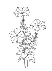 Wall Mural - simple flowering petunia outline drawing