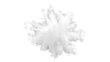 Wall Mural - white gray dust powder explosion transparent isolated background dynamic blast eruption monochrome c