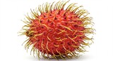 Vibrant red rambutan glows brightly against white background showcasing its spiky texture. AI Generated