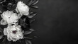 © Erika - diseño de tarjeta o plantilla para esquela o funeral con color negro liso con espacio de copia y con un ramo de flores peonias color blanco elegantes y abstracto
