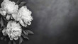 © Erika - diseño de tarjeta o esquela con un fondo efecto humo en color negro con un ramo de flores peonias blancas para diseño decorativo elegante y minimalista artistica