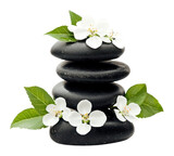 PNG Balanced stones flowers black white.