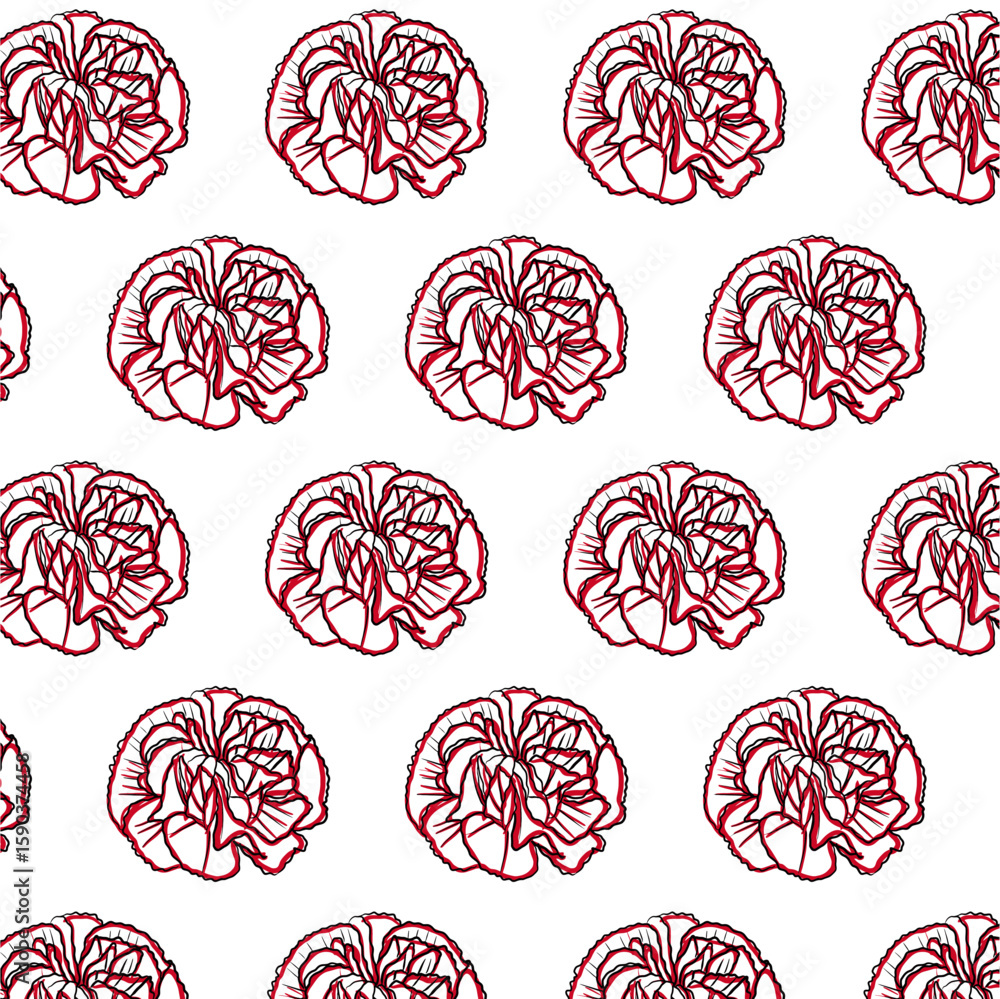Carnation or Dianthus caryophyllus flower Seamless Pattern Hand drawn ...