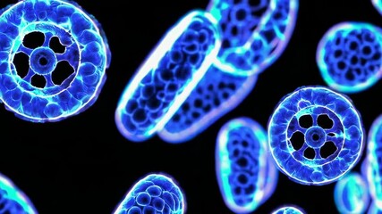 Wall Mural - dynamic blue cell particles in motion with futuristic neon glow effect