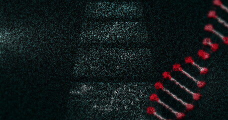 Wall Mural - displaying glowing red dna double helix rotating in abstract background, bright nodes, copy space