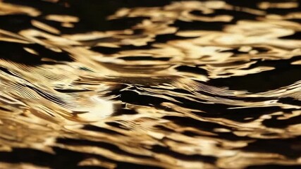 Wall Mural - golden liquid waves shimmering in dynamic flow under soft light