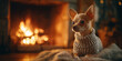 © Arfuu - Small chihuahua wearing knitted sweater sits cozily by warm fireplace, creating cozy and serene atmosphere. soft glow of fire adds to peaceful ambiance