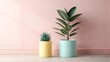 © Rezaul - Two potted houseplants a tall rubber tree and a small succulent stand against a soft pink wall