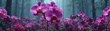 Orchid mood for floral echo concept. Vibrant orchids blooming in a mystical forest setting.