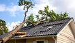 © Karep - Damaged house roof with fallen tree (1)