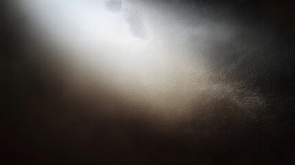 Wall Mural - neutral gradient background with subtle texture and studio lighting