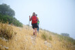 © Taras Grebinets - Two Hikers Trekking Through a Misty Hillside with Yellow Grass