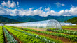 © Mr. Orsetto - Lush green farmland with greenhouses and mountain backdrop on a bright sunny day
