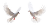 doves flying png