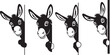 © RR Design - Four playful donkey heads peeking from the side silhouette