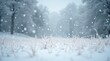 © Alex Pios - Large snowflakes drift down in foreground, meadow stretches in soft white, peaceful untouched winter field.