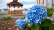 © pvl0707 - Beautiful flower garden at sunset with gazebo, hydrangeas, and relaxed seating for family and friends to enjoy on a summer evening