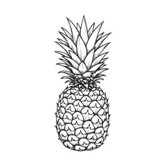 Wall Mural - Intricate black-and-white pineapple drawing with detailed texture and linework