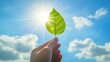 © farisky - A hand holds a vibrant green leaf against a bright blue sky with puffy white clouds and a sunburst