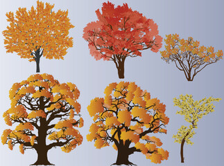 Wall Mural - orange fall trees on white light blue background
