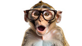 silly monkey wearing oversized glasses, expressing surprise and joy. This playful image captures fun and quirky nature of animals isolated on transparent background