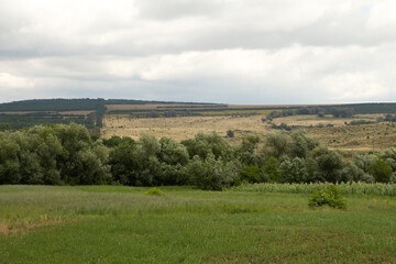 a grassy field with trees and hills in the background