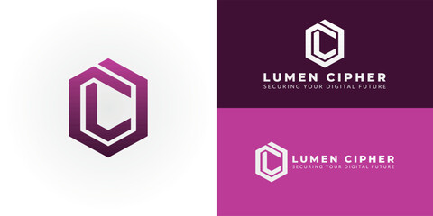 Wall Mural - this modern hexagon logo represents our commitment to cybersecurity and software development, embody