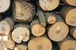 © andrei310 - Stacked chopped logs close up, background, texture