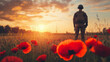 © Taiwo - Poppy field soldier veteran's day war-torn. Poppies and soldier golden state soldier warrior silhouette. Memorial day wallpaper, soldier in the field, rememberance poppy. Soldier poppy Armistice Day