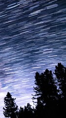 Wall Mural - vertical shot of star trails stargazing in southeast sky above trees palomar mountain san diego astr