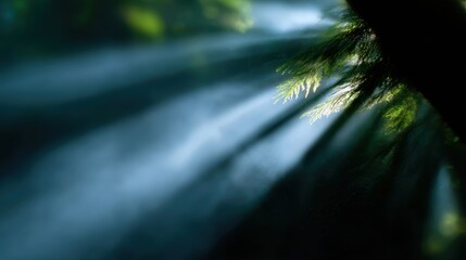 Wall Mural - abstract background of blurred sunbeams piercing through dense fog in a forest, mystical and etherea