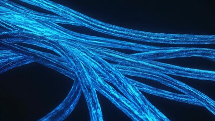Wall Mural - multiple glowing blue cables are transferring data creating a futuristic data stream on a dark backg