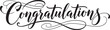 © vectolab - Vector art of elegant calligraphy script spelling congratulations isolated on white