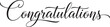 © vectolab - Vector art of elegant handwritten congratulations text isolated on white background