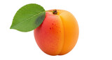 Isolated Fresh Apricot with Leaf