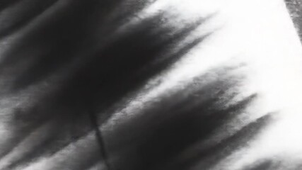 Wall Mural - Abstract grayscale shadow art, blurred lines, bright background, design texture