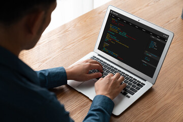 Wall Mural - software development programming on computer screen for modish application and program coding
