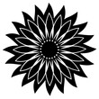 © Habiba Akter - sunflower vector art