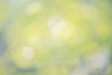 Wall Mural - Defocus light background green with yellow. Natural abstract background