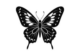 Butterfly silhouette black vector white background