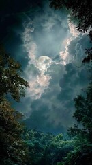 Wall Mural - vertical video full moon through clouds in a lush forest