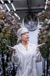 © ultramansk - A scientist inspects cannabis plants in a controlled indoor farm for quality assurance and research. Medical marijuana cultivation advances through innovation, biotechnology, and sustainability.