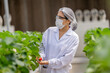 © ultramansk - A worker in full protective gear harvests ripe strawberries, ensuring food safety and hygiene in a modern greenhouse. Concept for quality control and clean eating.